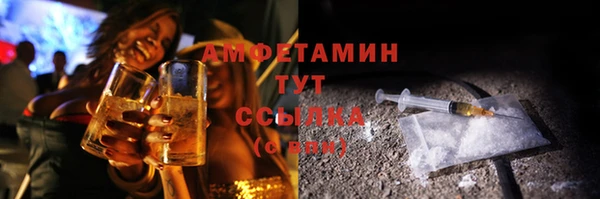 гидра Арсеньев
