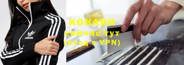 гидра Арсеньев