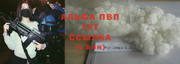 гидра Арсеньев