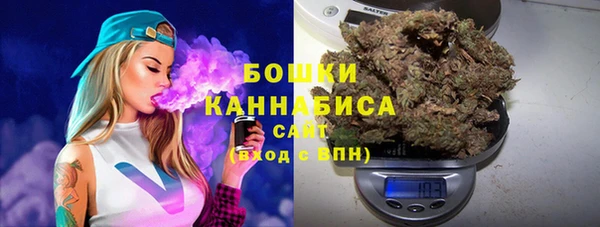 ПСИЛОЦИБИНОВЫЕ ГРИБЫ Аркадак