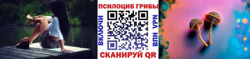 omg ссылка  Павлово  Псилоцибиновые грибы мицелий  купить наркотики цена 