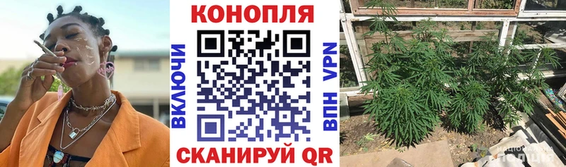 купить наркоту  Павлово  Шишки марихуана Bruce Banner 